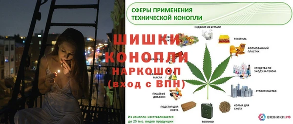 каннабис Верея