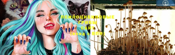 каннабис Верея