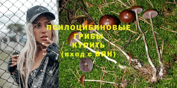 Альфа ПВП Верхний Тагил