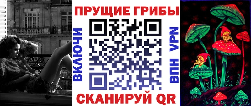 Купить  Вилюйск  Псилоцибиновые грибы Psilocybine cubensis 